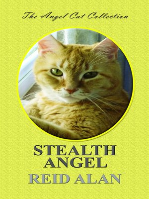 cover image of Stealth Angel
